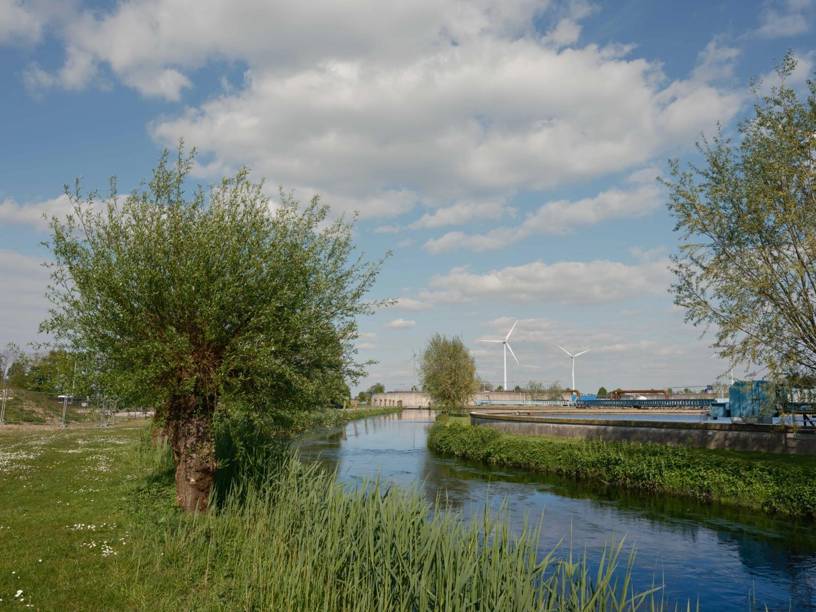 Links gras en een boom, in het midden water. Ver op de achtergrond twee windmolens.