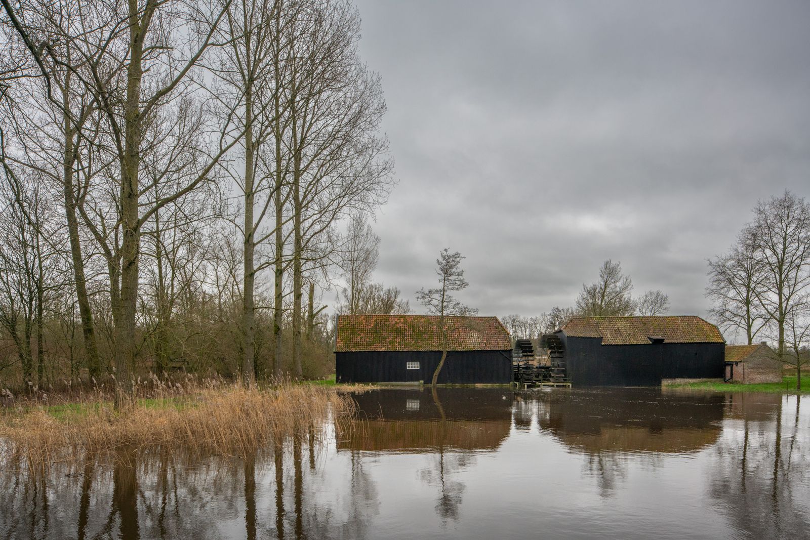 Twee huisjes aan het water bij De Dommel in Eindhoven.