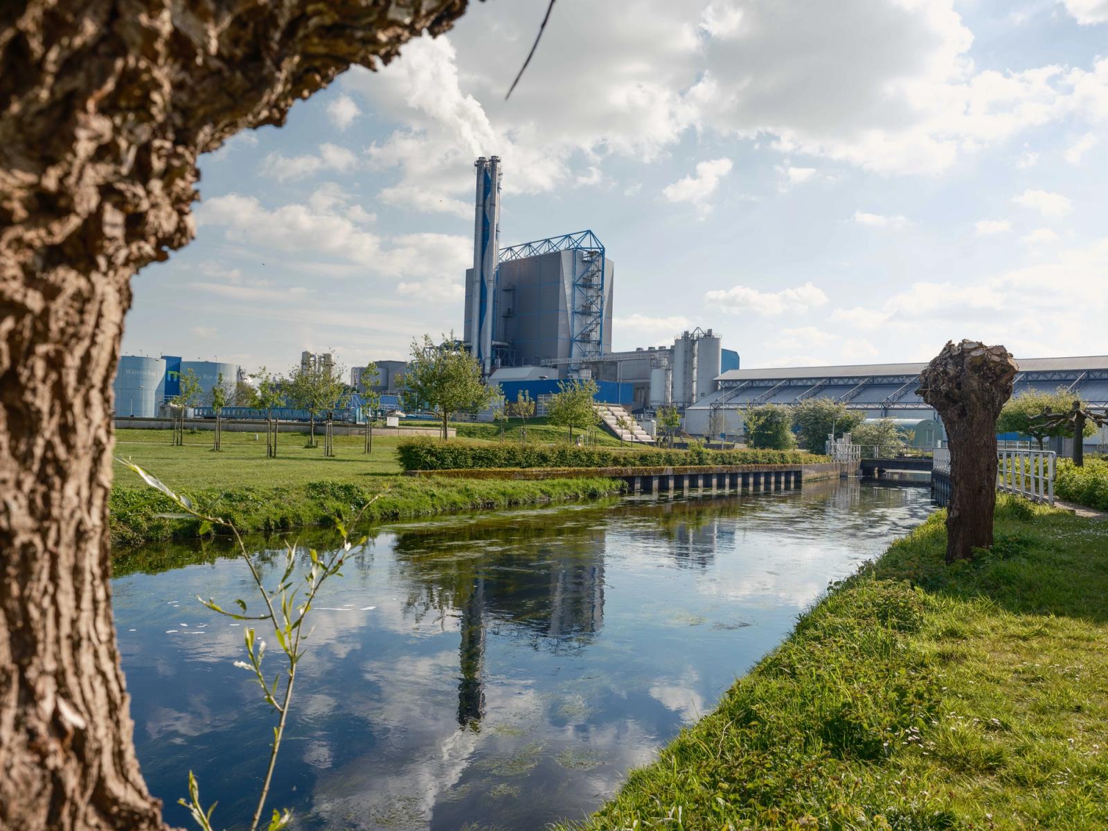 Op de voorgrond een stuk van een boom, in het midden water en aan de zijkanten grasvelden. Op de achtergrond gebouwen van Synergiepark InnoFase.