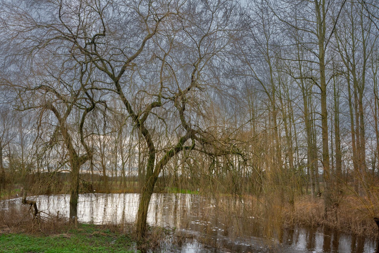 De Dommel bij Eindhoven, met groenblauwe dooradering.