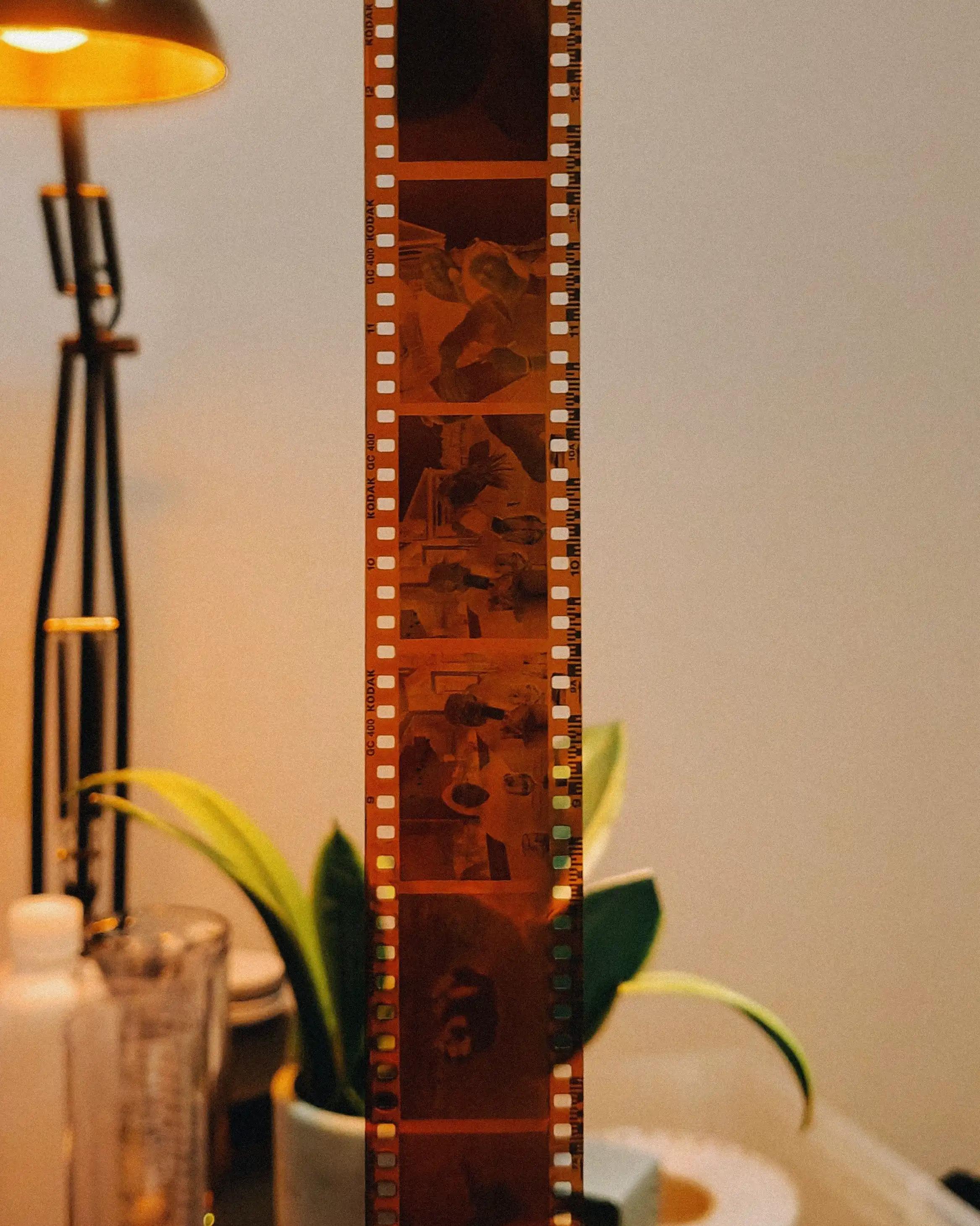 Development Only (C41)