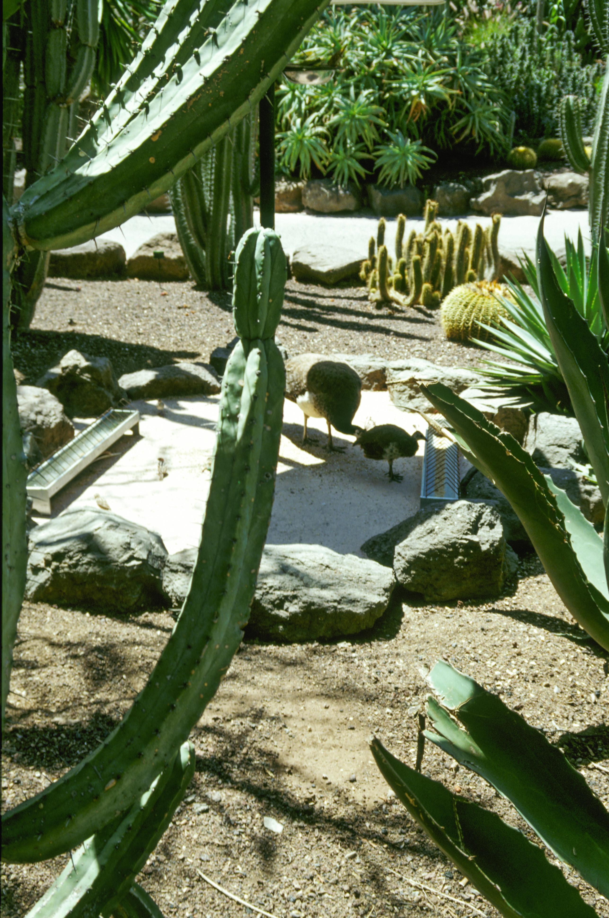 Service image 4