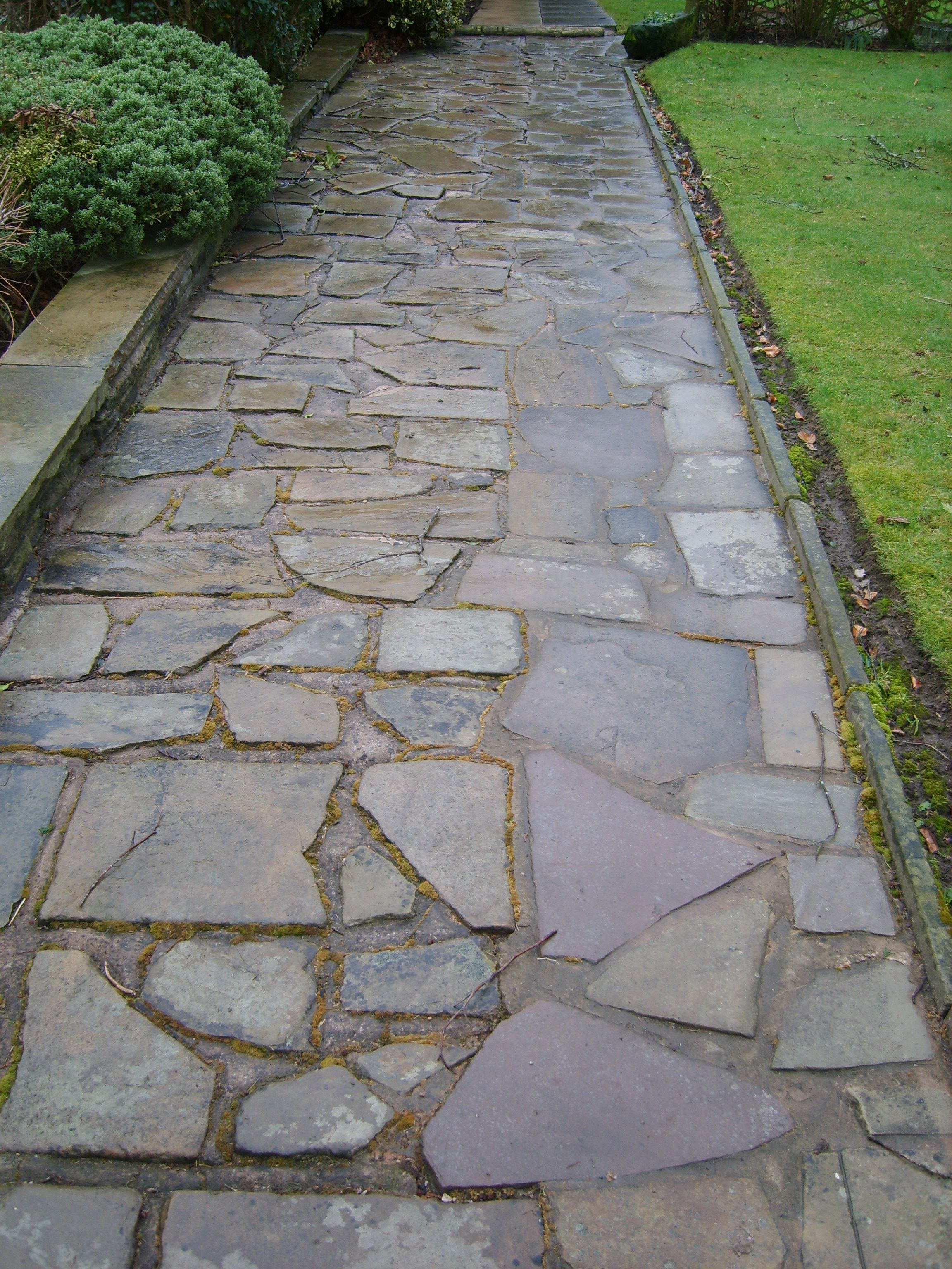 Flagged path, before