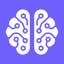 icon of TeamBrain