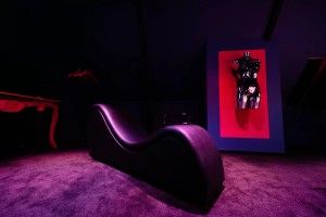 Équipements et confort - Le Loft - L'Éros à Martigné-Ferchaud