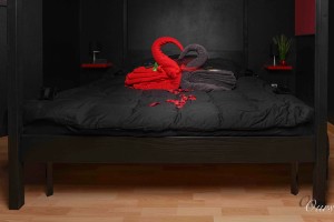 Espace romantique - La Mystic Room à Ergersheim