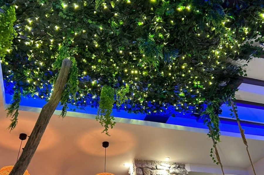 Ciel Végétal - La Suite 2 Grenoble