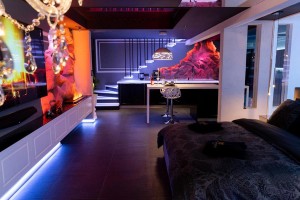 Vue principale - Le Loft - Les secrets du Castel à Epfig