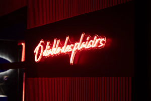 Espace romantique - Ô Diable des Plaisirs à Tourcoing
