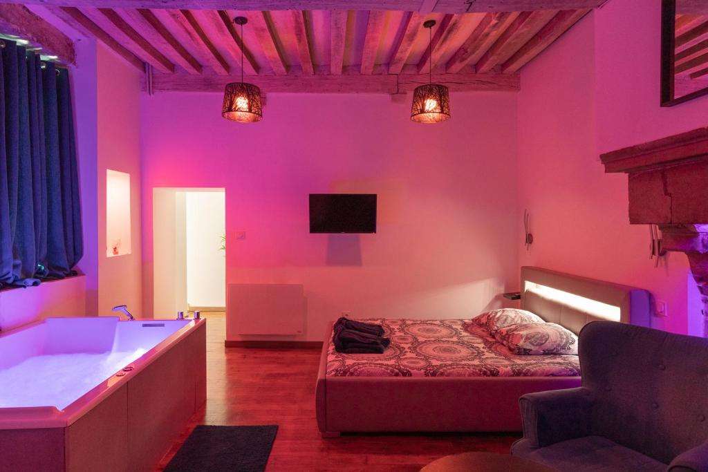 Vue d'ensemble - Appartement Luxury Spa - Spa Privatif Dijon