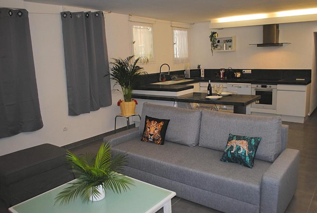 Espace de vie - Suite Cristal VIP - Cosy & Spa