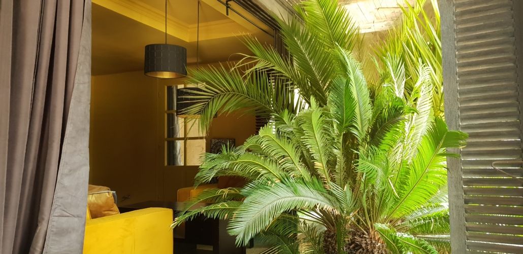 Ambiance Balinaise - Suite Patio Balinais - Château Duo