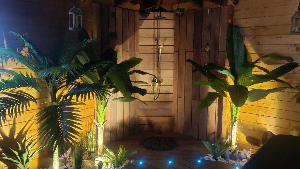 Douche - Tropical Spa
