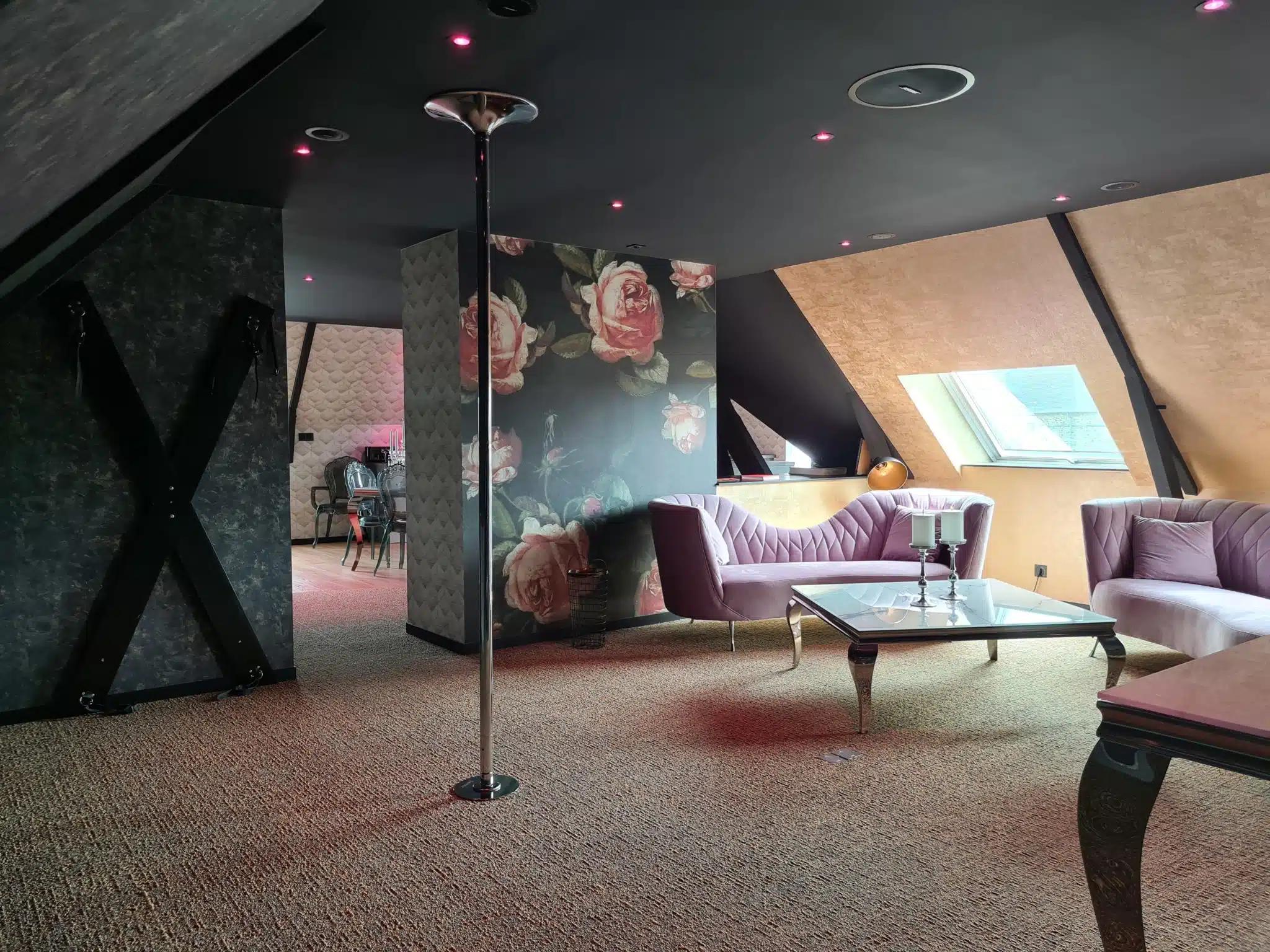 Salon de Jeu - Barre de Pole Dance - Croix de St André - Le Loft - L'Éros