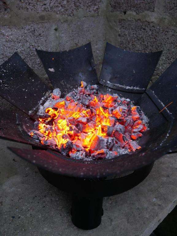 Brasero - Plugs - La Blackroom de l'Artois