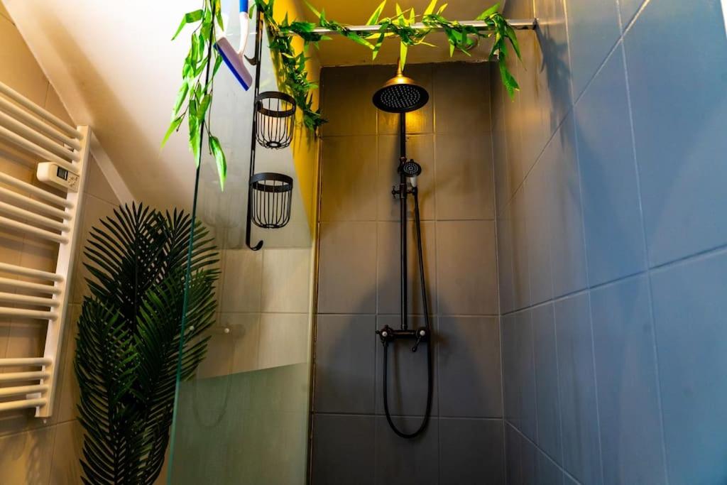 Douche - Tropical Jungle Pau