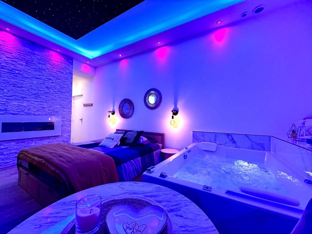 Vue d'ensemble - Appartement Harmonie Spa - Spa Privatif Dijon