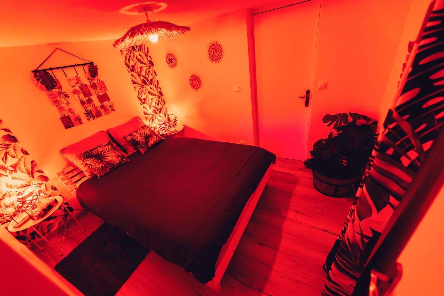 Chambre Ambiance Lumineuse - L'Écrin Tropical - Les Gîtes de Justine