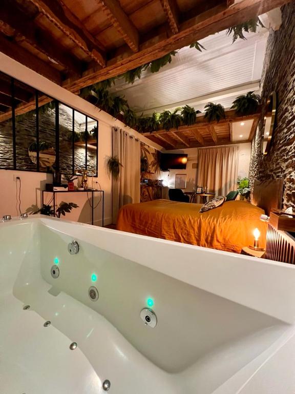 Baignoire Balnéo - Love Room Jungle - Les Petits Plaisirs Angers