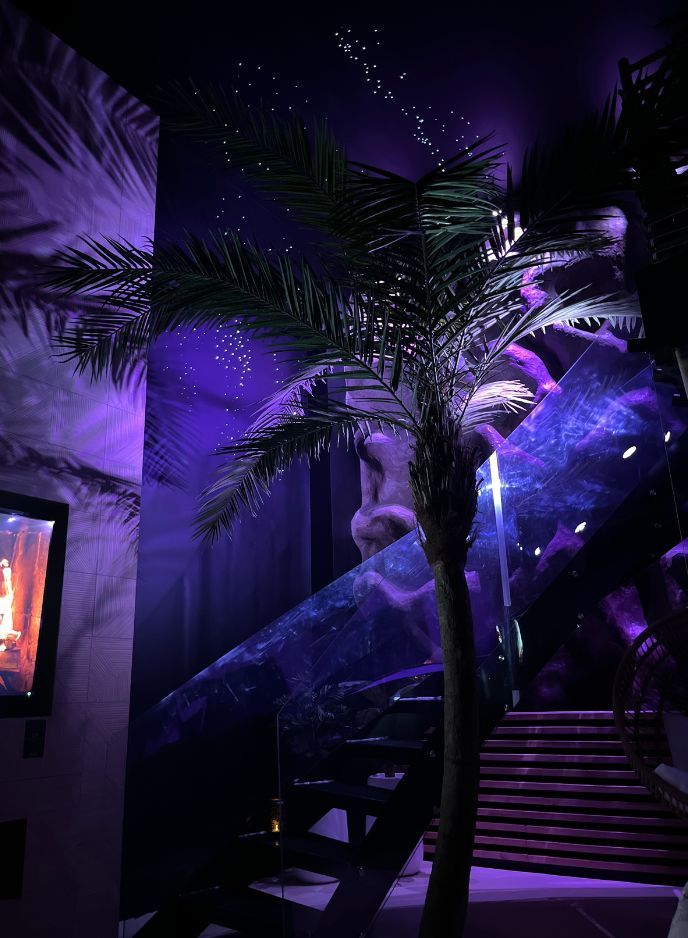 Ambiance Nuit - Suite la Jungle - Omira Bordeaux