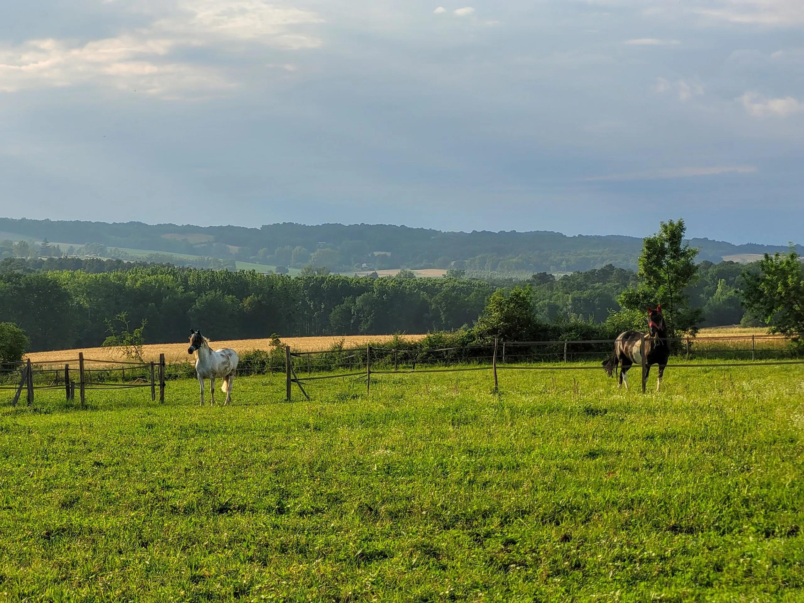 Extérieur & Chevaux - Tiny House Lumen