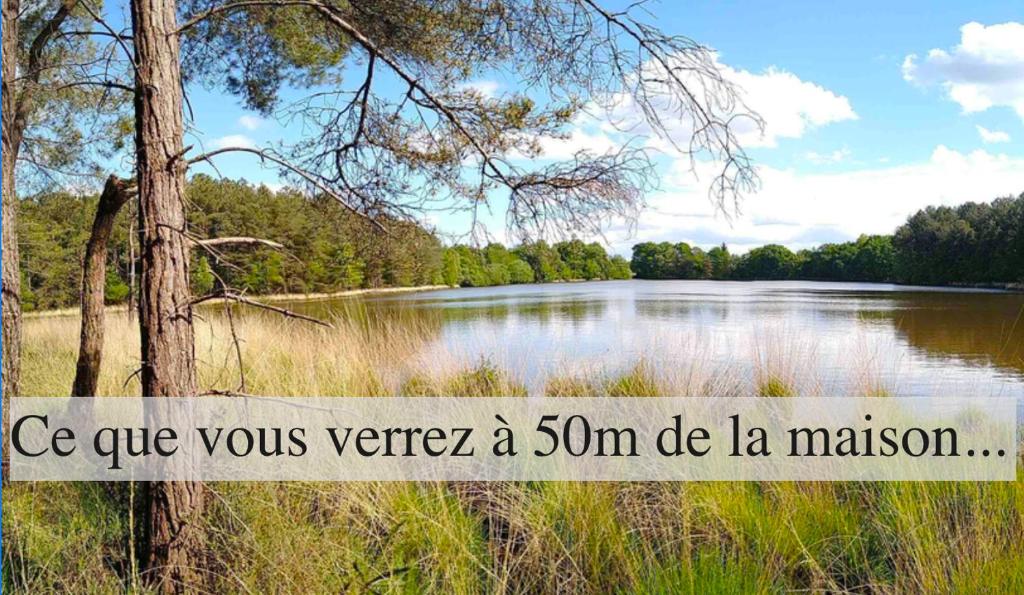 Vue Extérieure - Le Cocon Enchanteur