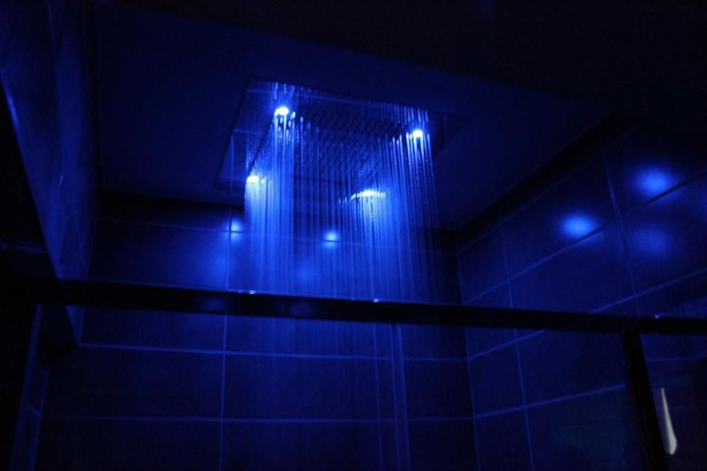 Douche tropicale - Salle d'eau - Appartement Spa Privatif - Spa Privatif Dijon