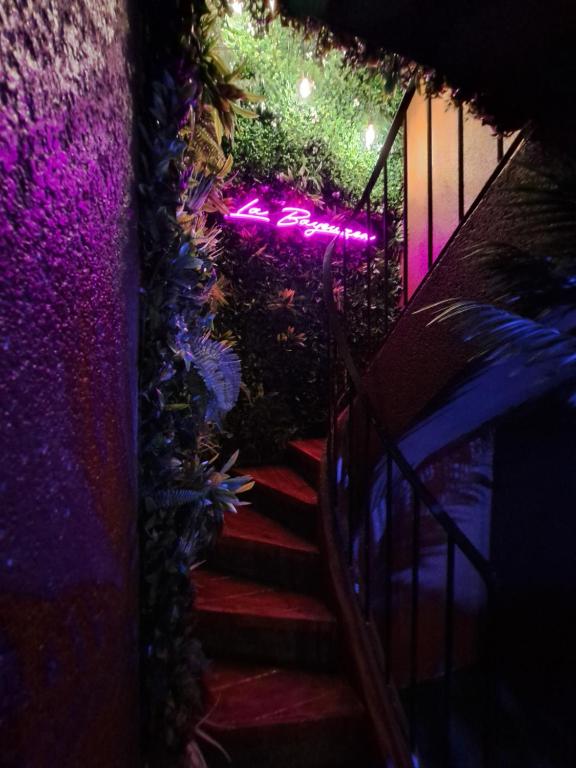 Escaliers - La Tropicale - La Bayeuzen