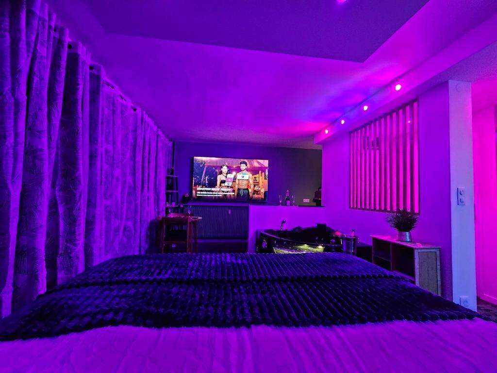 Vue d'ensemble - TIJUGO - Love room à Clermont-Ferrand