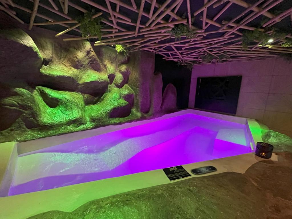 Spa - Suite la Jungle - Omira Bordeaux