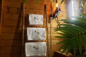 Vue principale - Tropical Spa à Provin