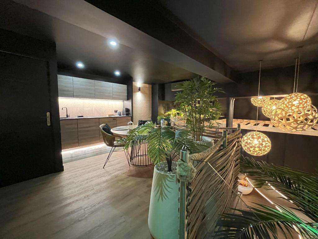 Cuisine & Coin Repas - Suite la Jungle - Omira Bordeaux