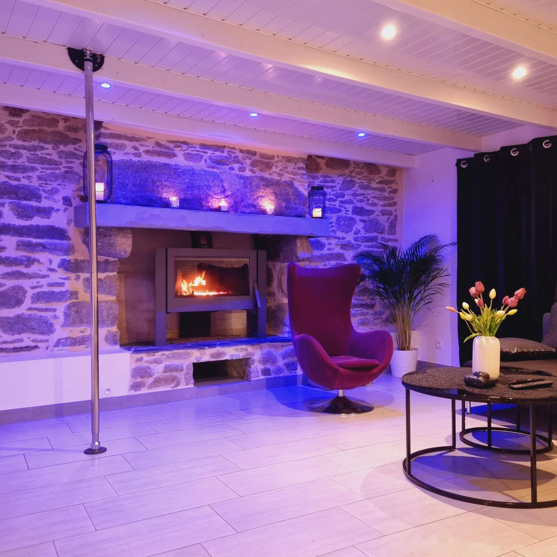 Cheminée & Barre de Pole Dance - Suite Eden - Le Cocoon Secret