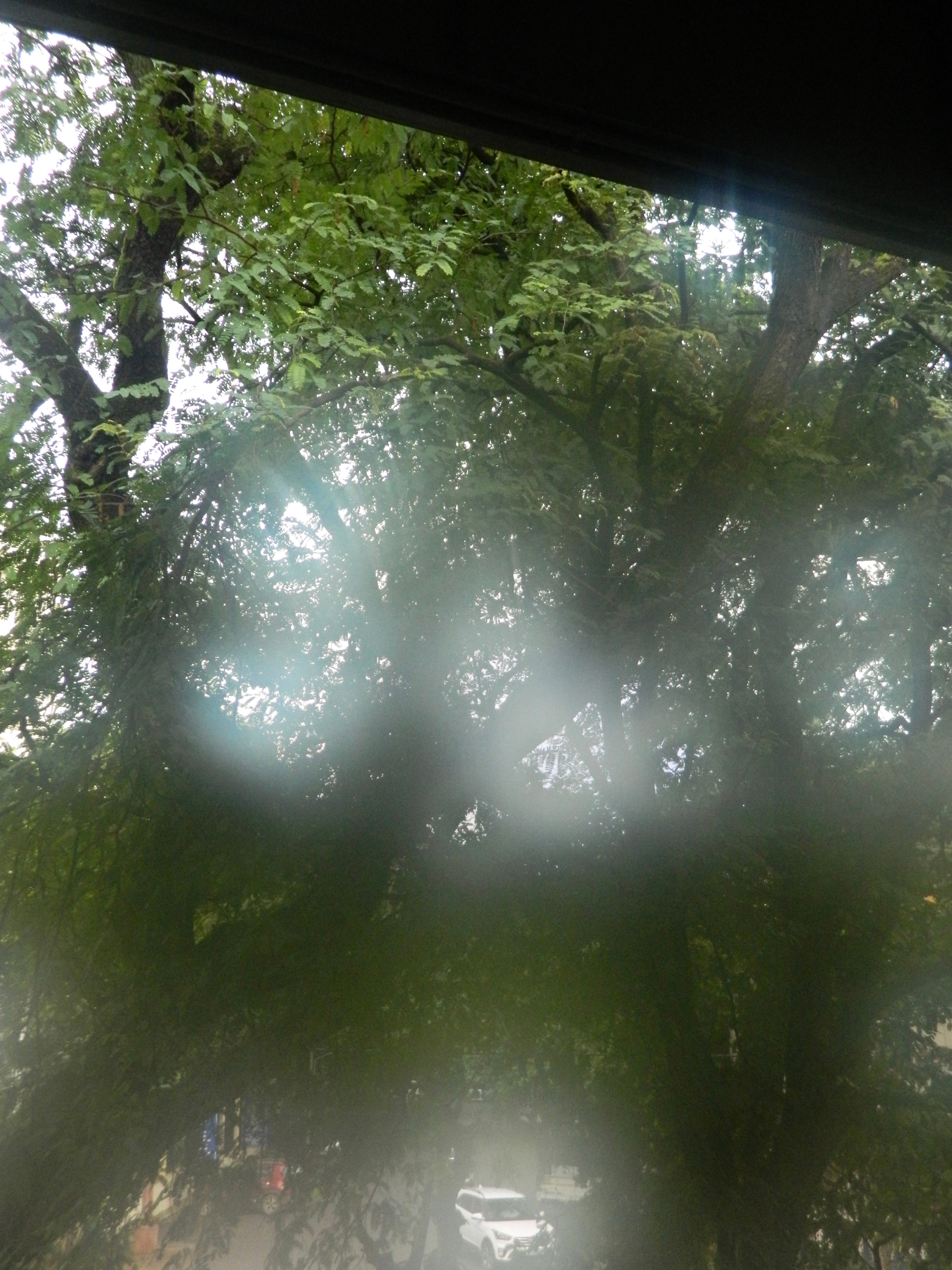 untitled photography