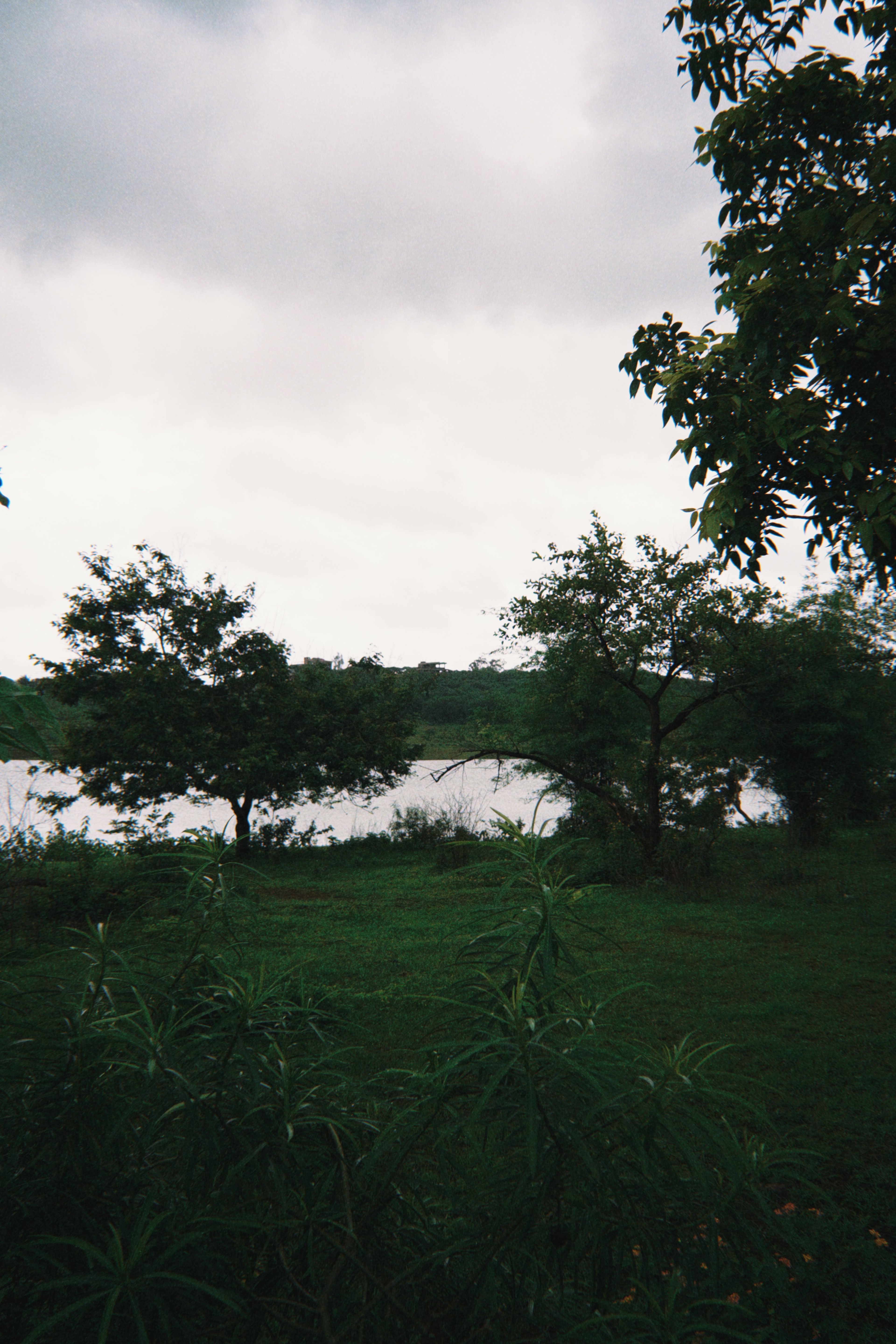 untitled photography