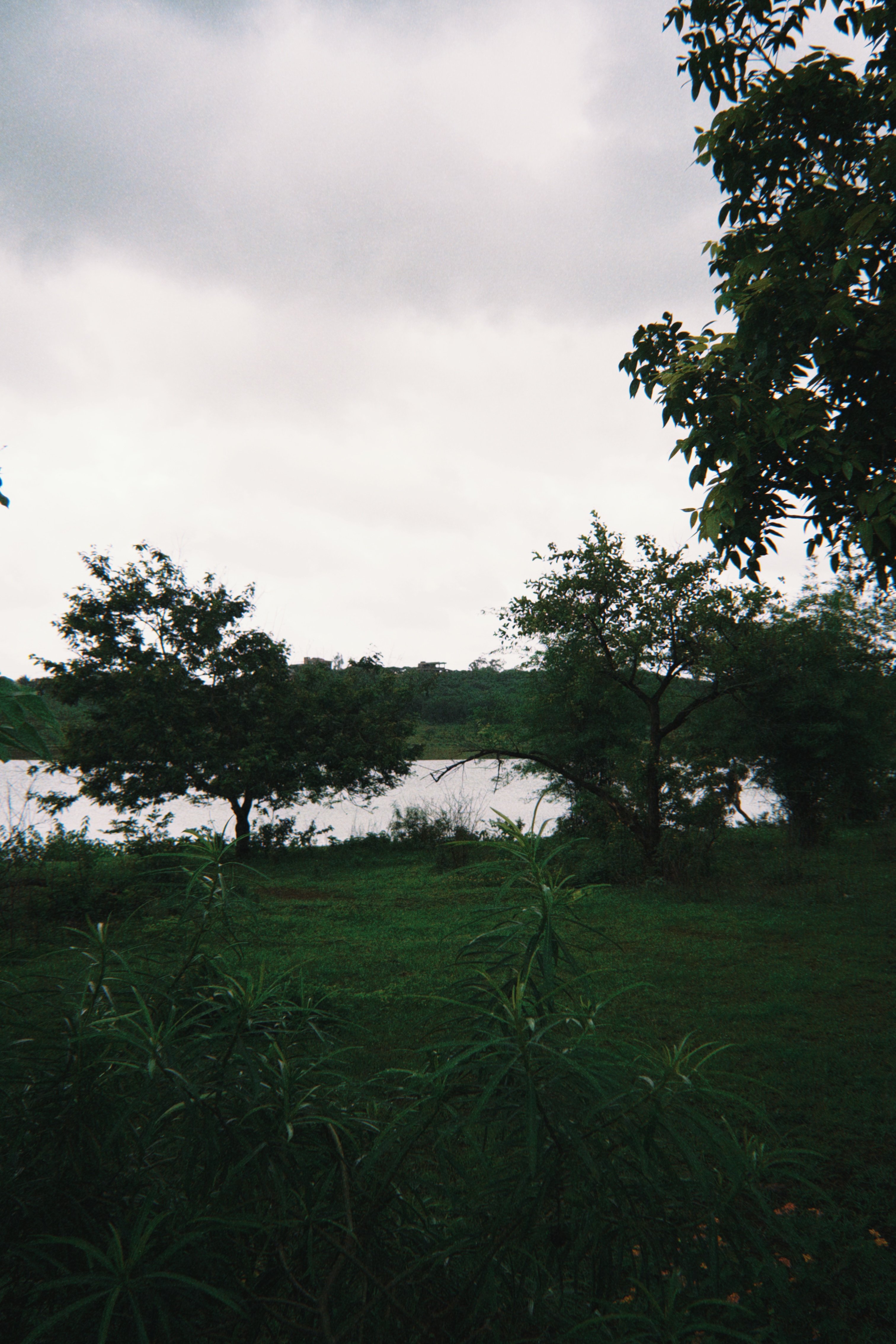 untitled photography