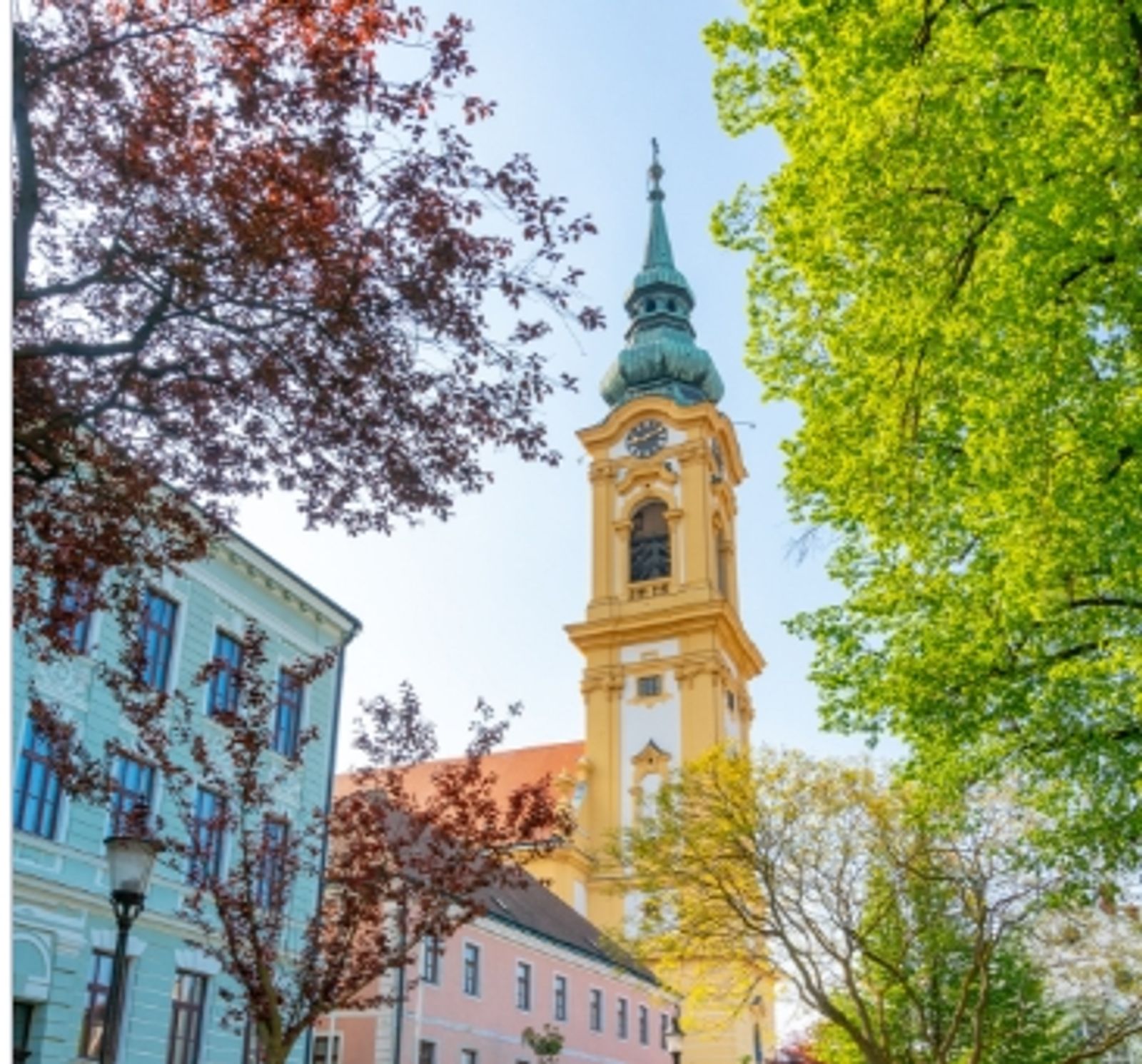 Programmvorschläge