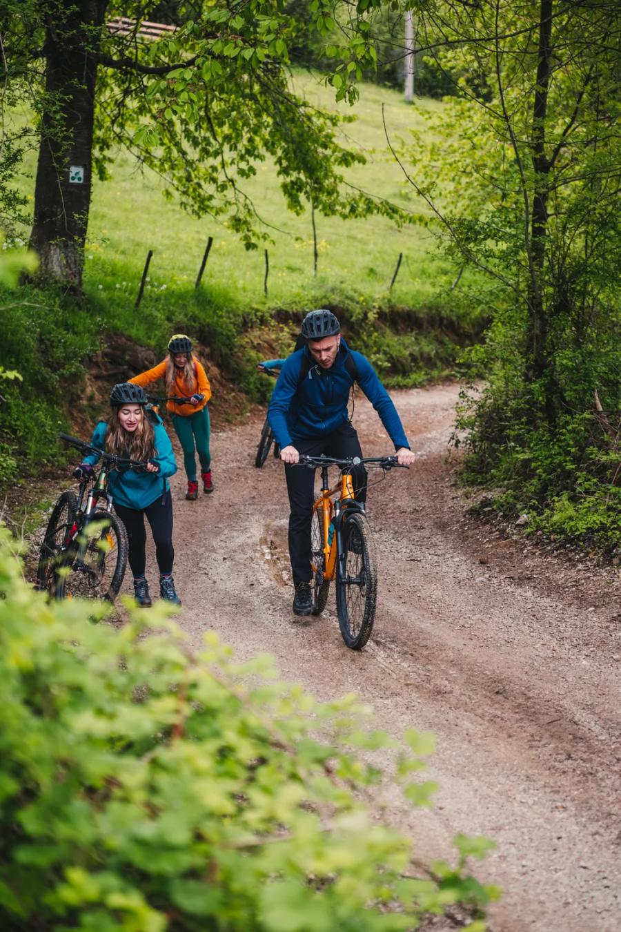 A mountain bike trail through the forest in the Pădurea Craiului Mountains