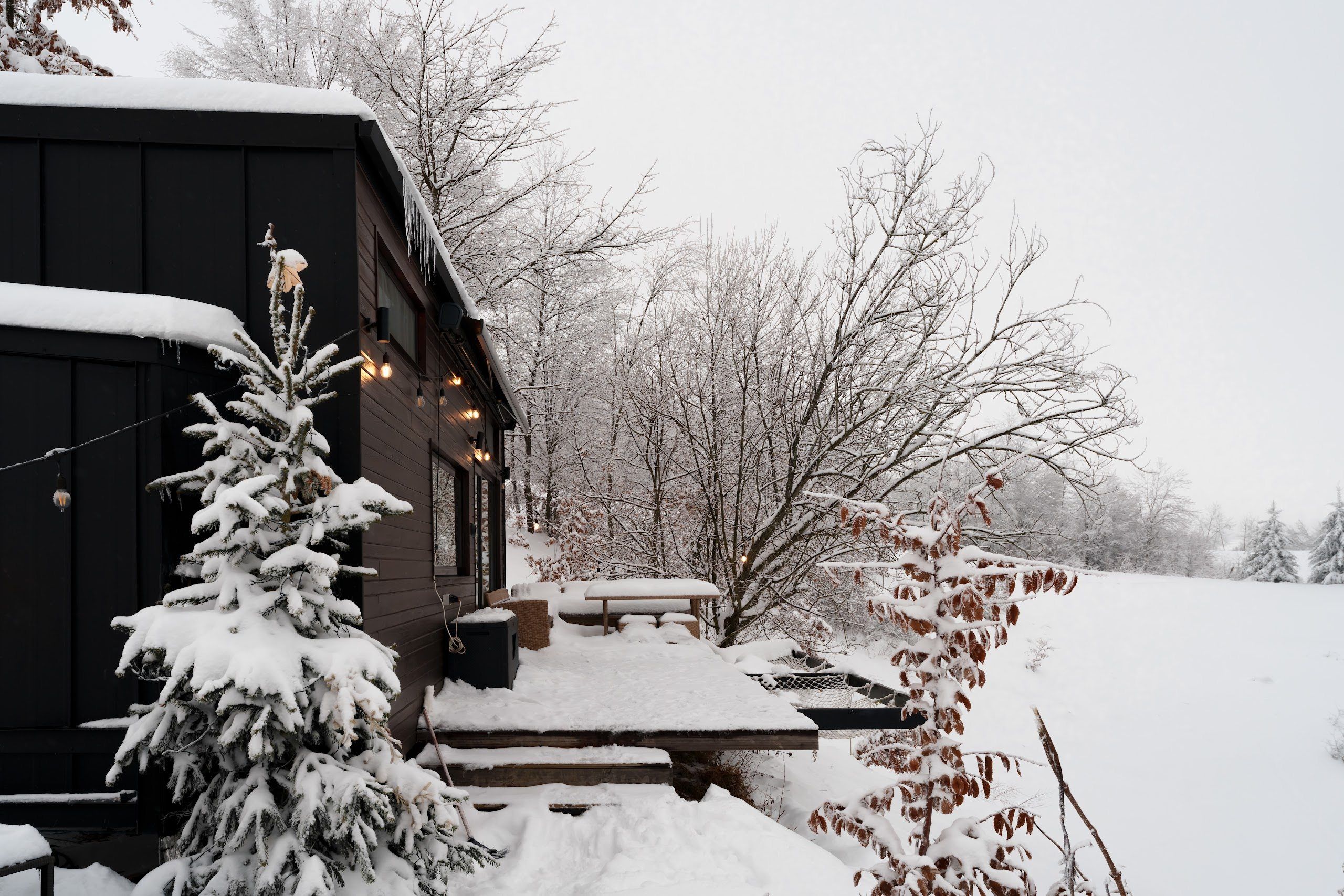 Dyno cabin in winter among snow-covered fir trees at Coniferis Retreat