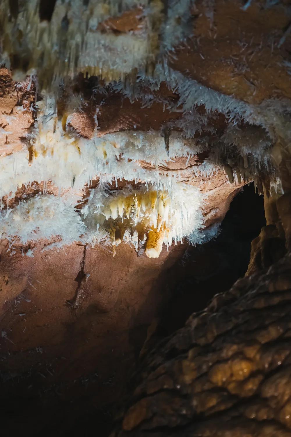 A crystal-covered cave wall in the Pădurea Craiului Mountains