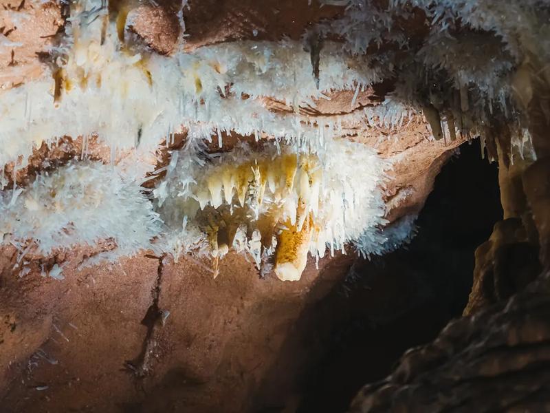 Crystal walls appear in the damp galleries A crystal-covered cave wall in the Pădurea Craiului Mountains