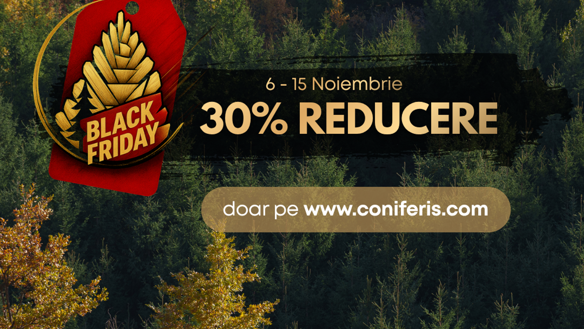 Black Friday at Coniferis Retreat: 30% off, 6–15 November, cabins in the conifer forest of the Apuseni Mountains