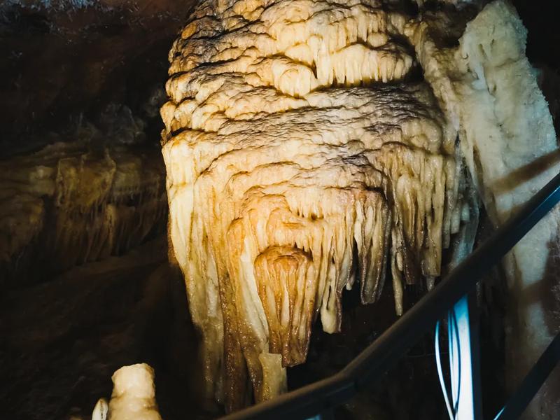 Don't touch them – oils from your hands stop them growing Stalactites on the ceiling of a cave in the Pădurea Craiului Mountains