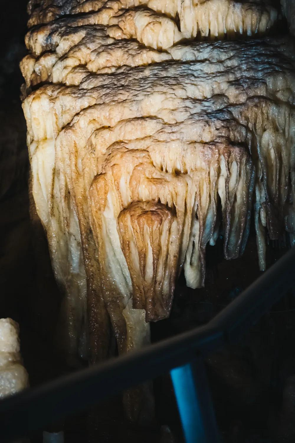 Stalactite formations in a cave in Pădurea Craiului