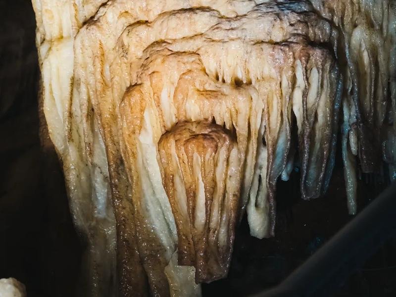 These formations need thousands of years to grow a centimetre Stalactite formations in a cave in Pădurea Craiului