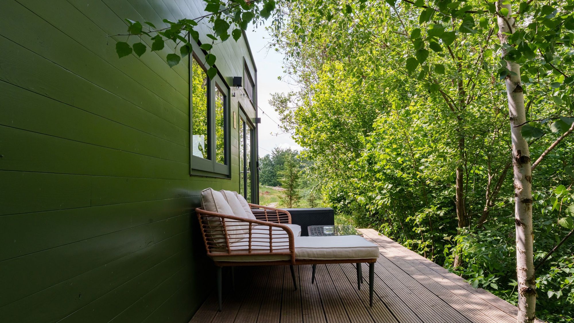 Pistacchio