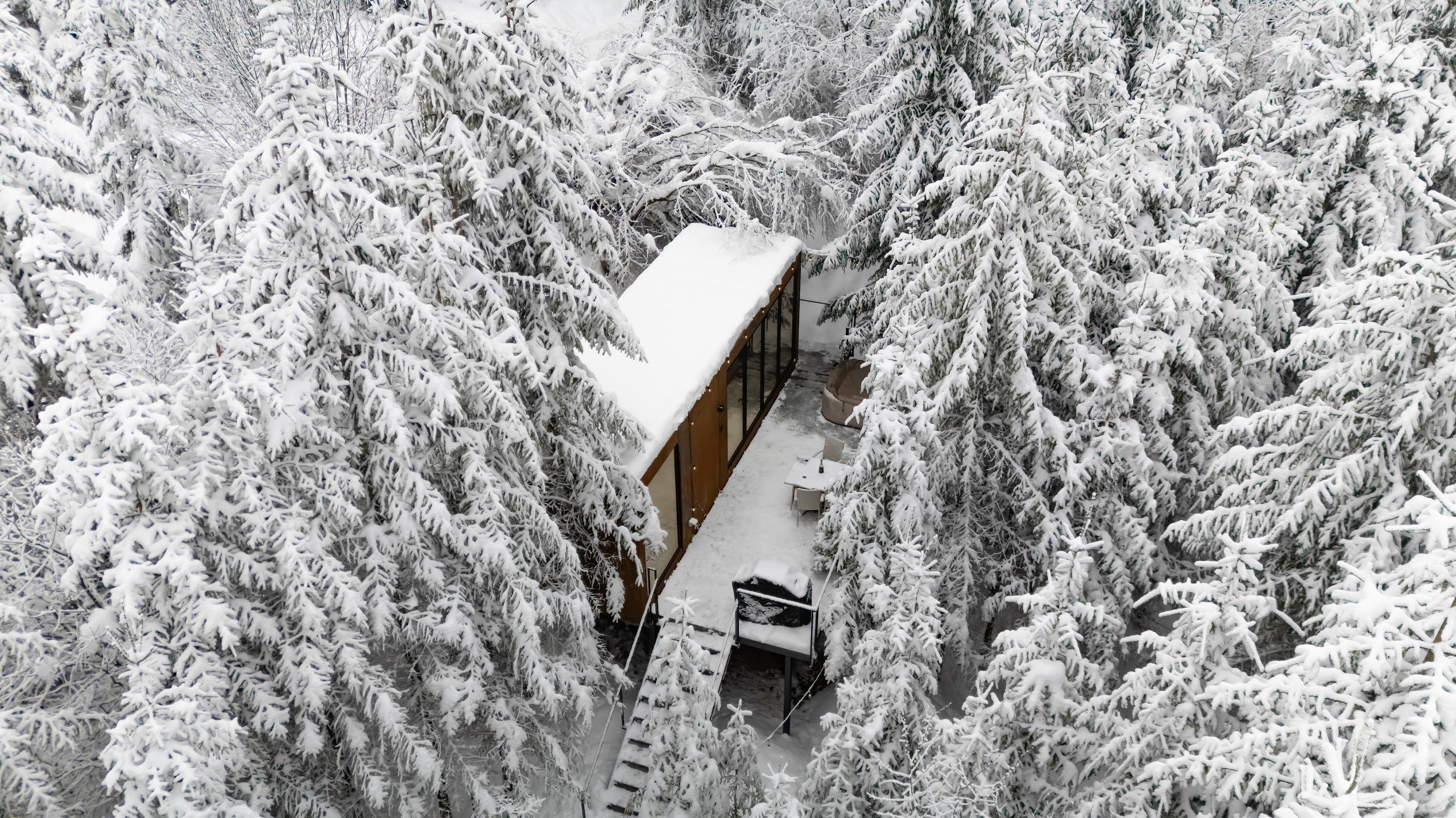 Aerial view of the Luna cabin hidden in the snowy fir forest of the Apuseni