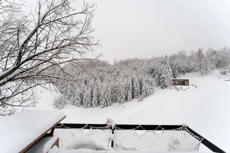 Terrace with a net hammock in winter at the Dyno tiny house