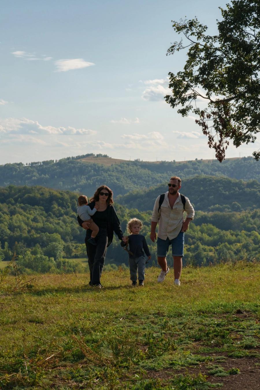 Panorama of the hills in the Pădurea Craiului Mountains