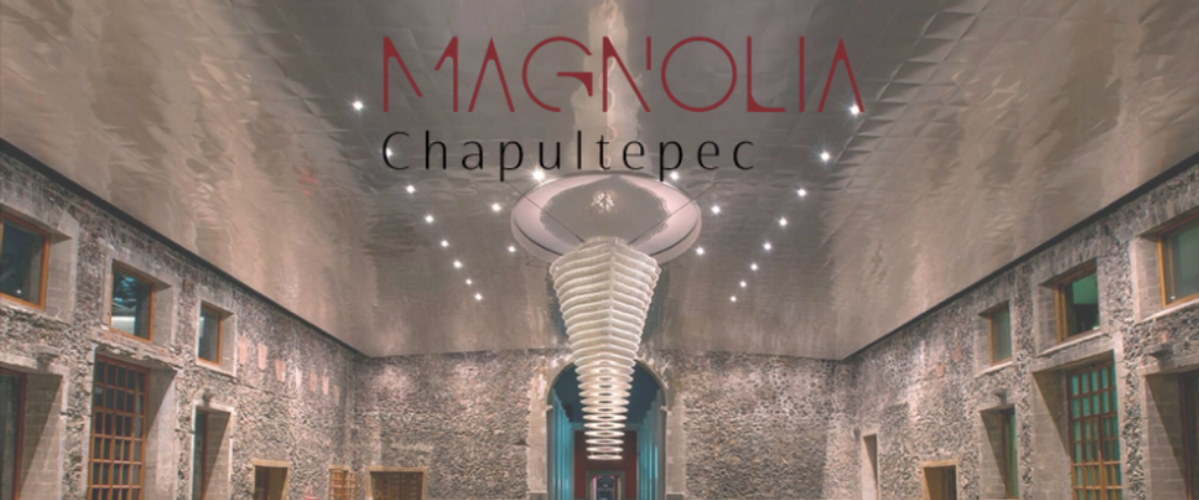 Magnolia Chapultepec